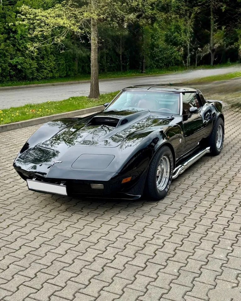 Chevrolet Corvette — фото 13